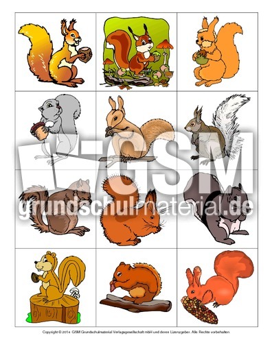Eichhörnchen-Memo-Aufdeckspiel-1.pdf